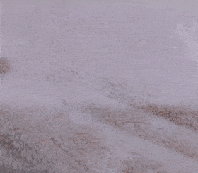 技干发帽三分钟速干轻松告别湿哒哒！pg电子中国网站女生值得用的黑科(图10)