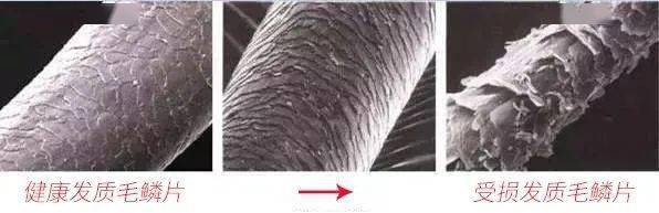 技干发帽三分钟速干轻松告别湿哒哒！pg电子中国网站女生值得用的黑科(图16)