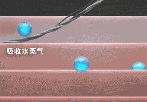 技干发帽三分钟速干轻松告别湿哒哒！pg电子中国网站女生值得用的黑科(图20)