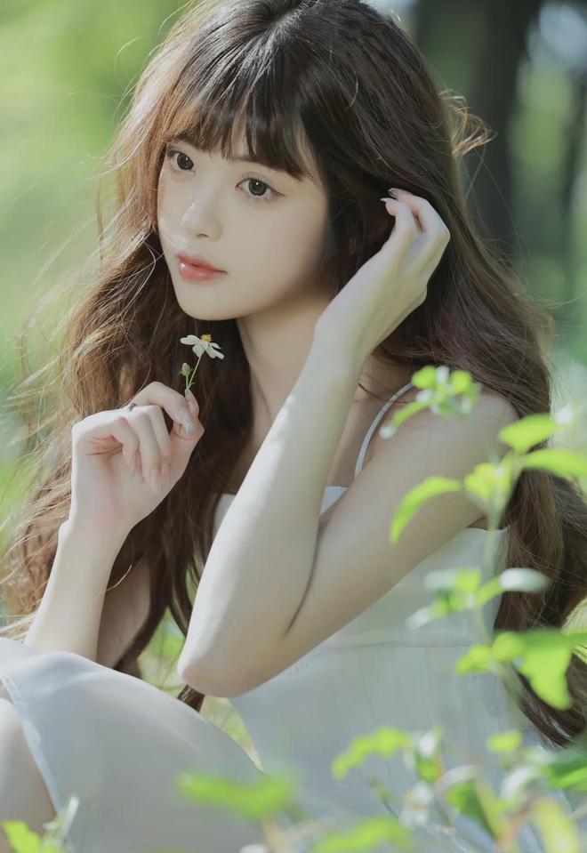 传媒入口 MBA智库pg模拟器电脑版大象